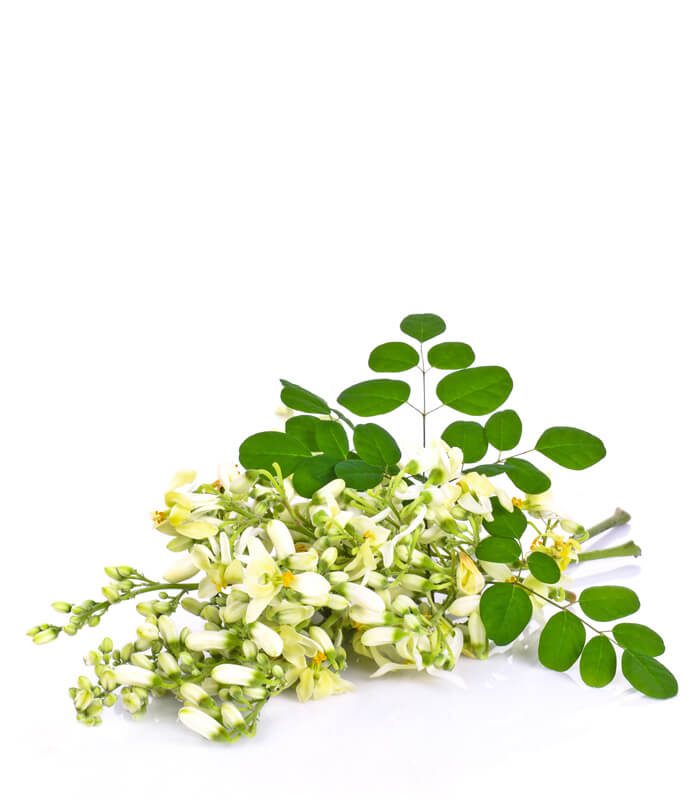 Moringa