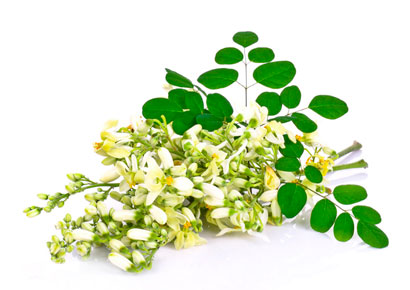 Moringa